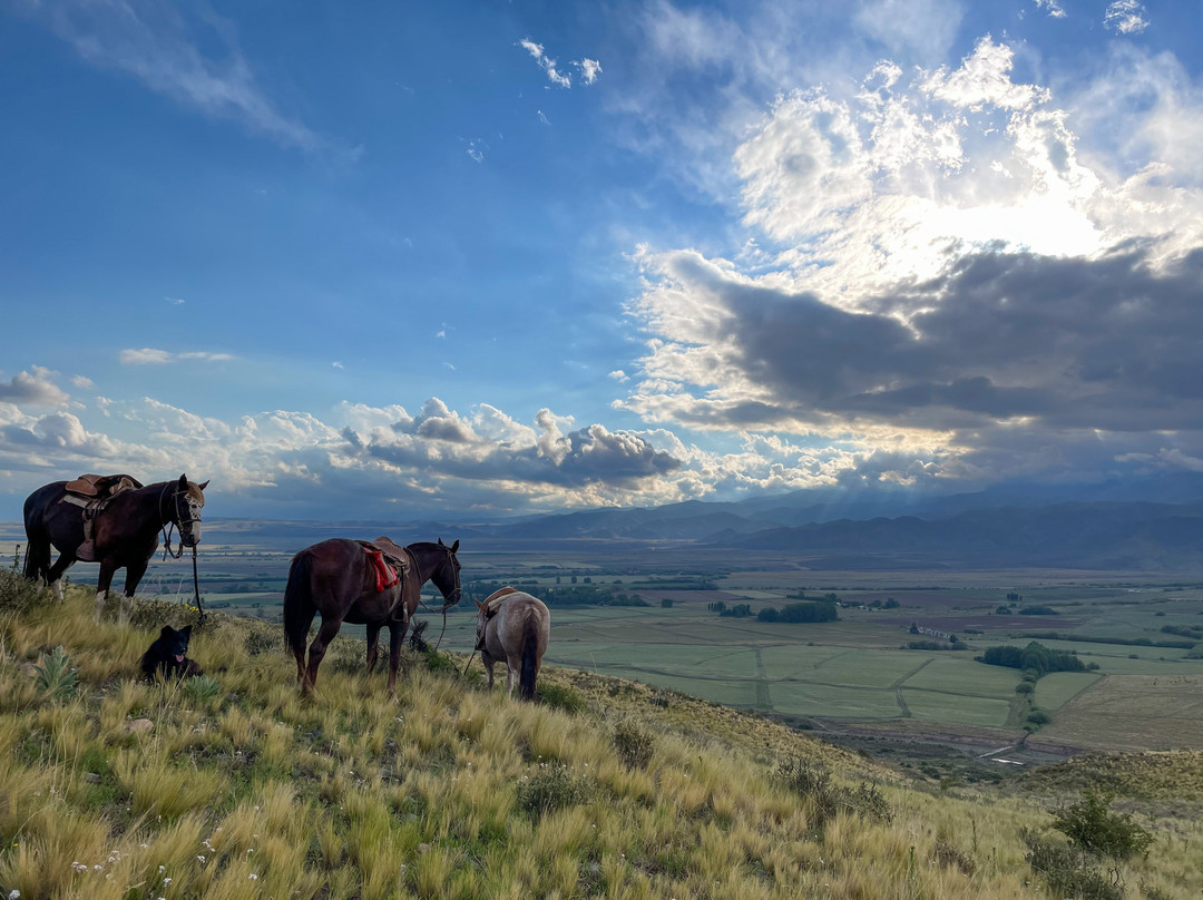 Vivacs Del Plata-Tupungato必去景点