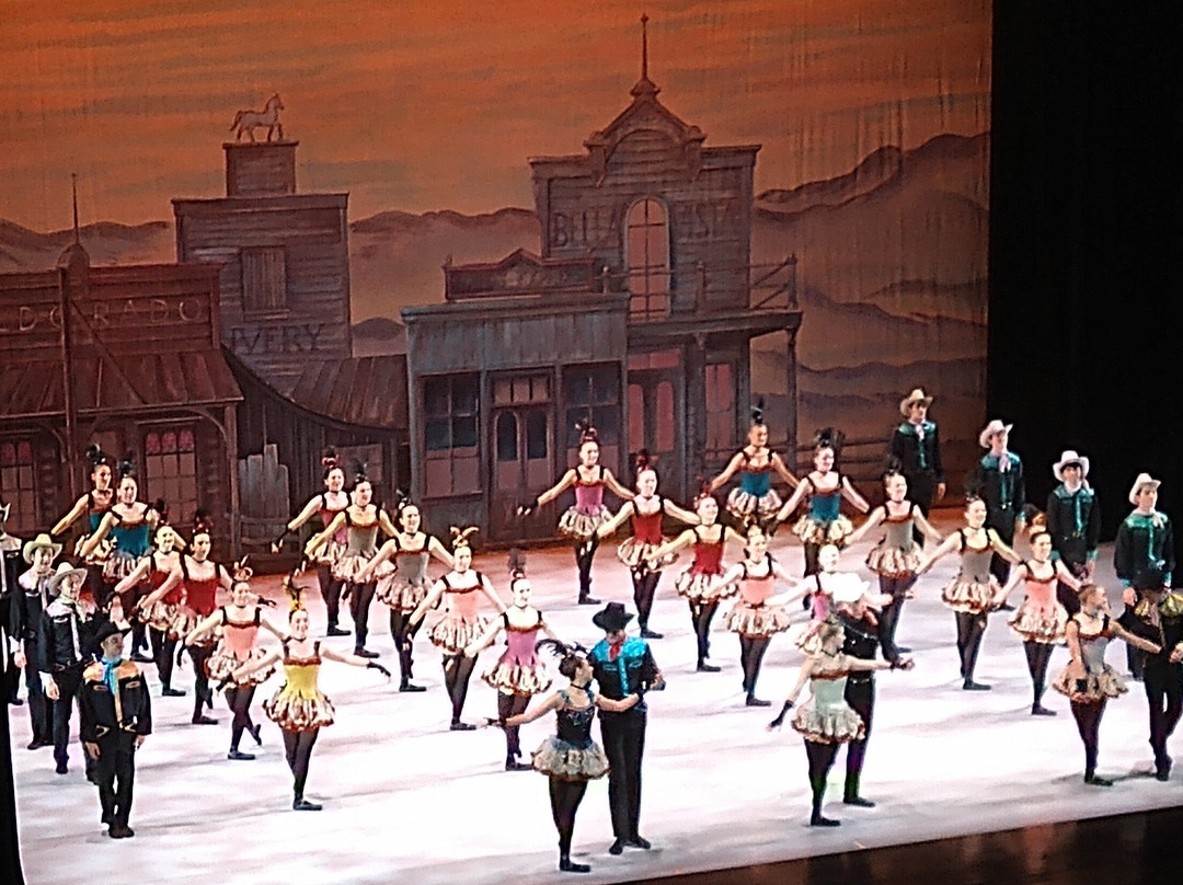 Touhill Performing Arts Center景点图片
