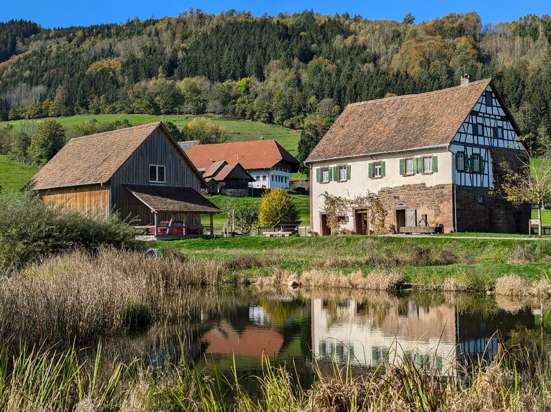 Schwarzwälder Freilichtmuseum Vogtsbauernhof景点图片