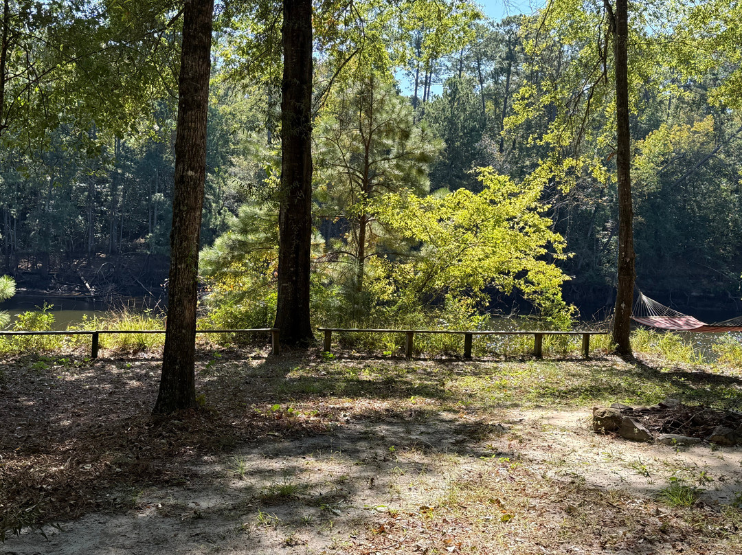 The Bird & Butterfly Inn主图