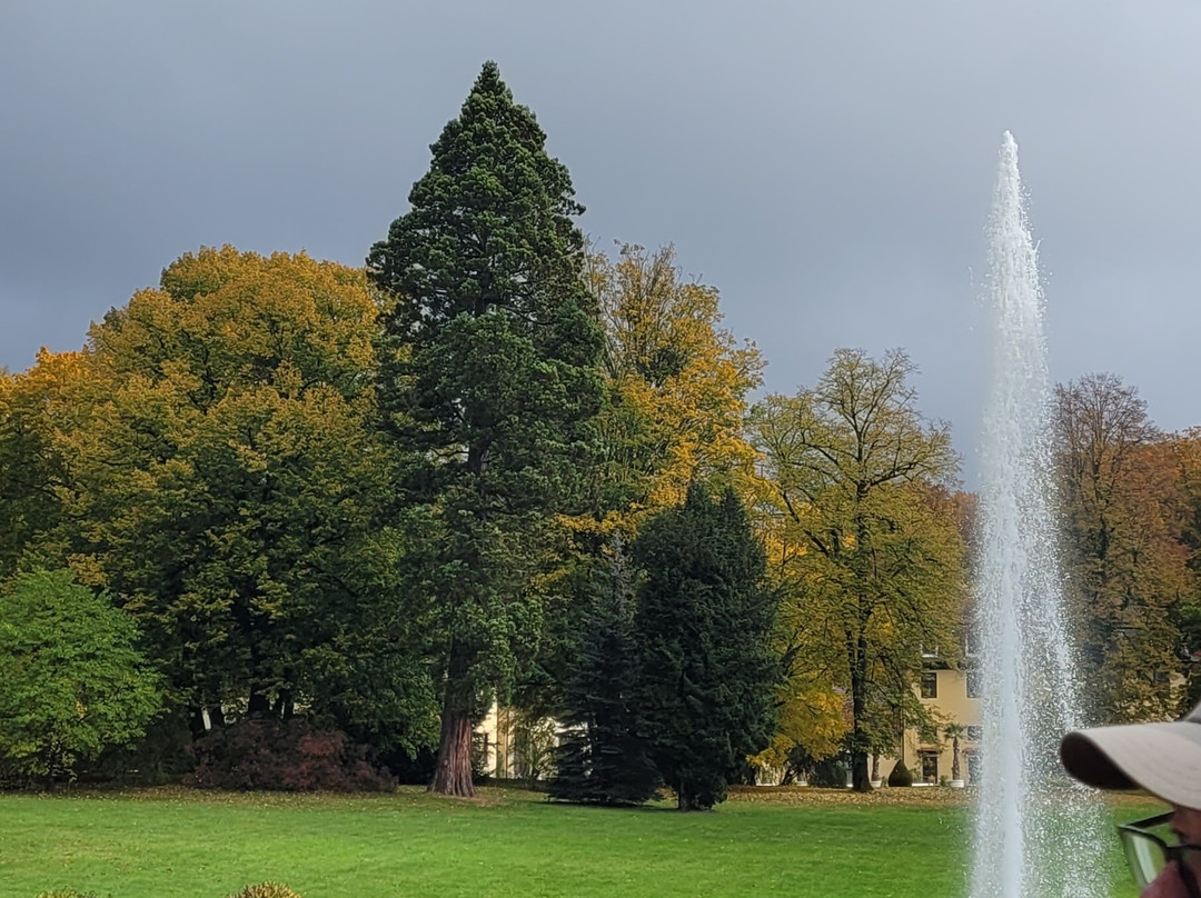 Café Altenstein Bad Liebenstein主图
