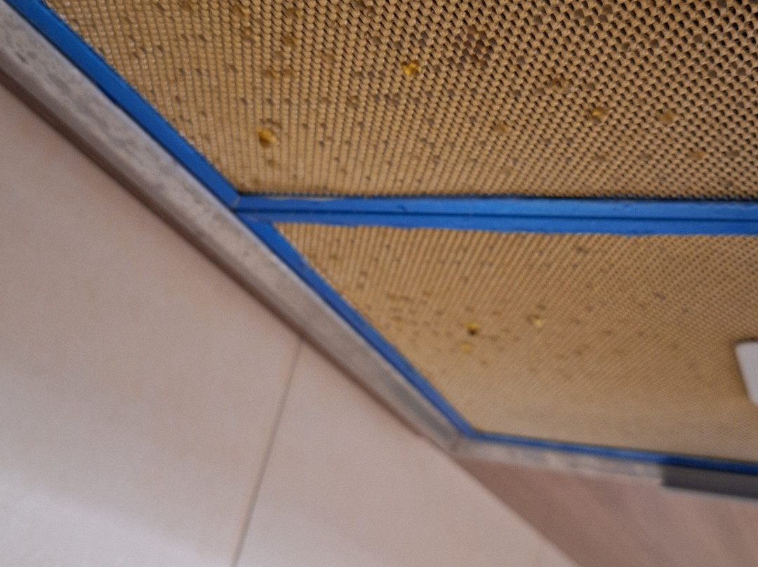 Gurzuf Riv'yera Spa i Rezidentsii主图