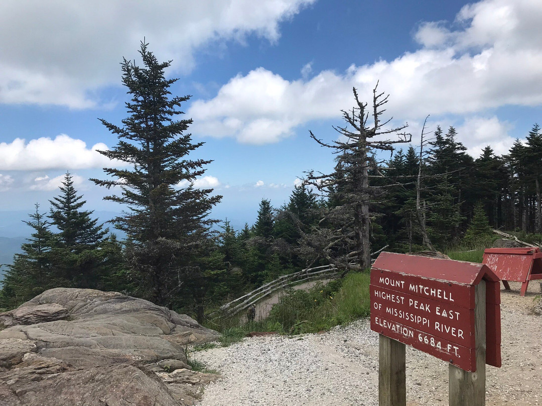 Mount Mitchell State Park景点图片