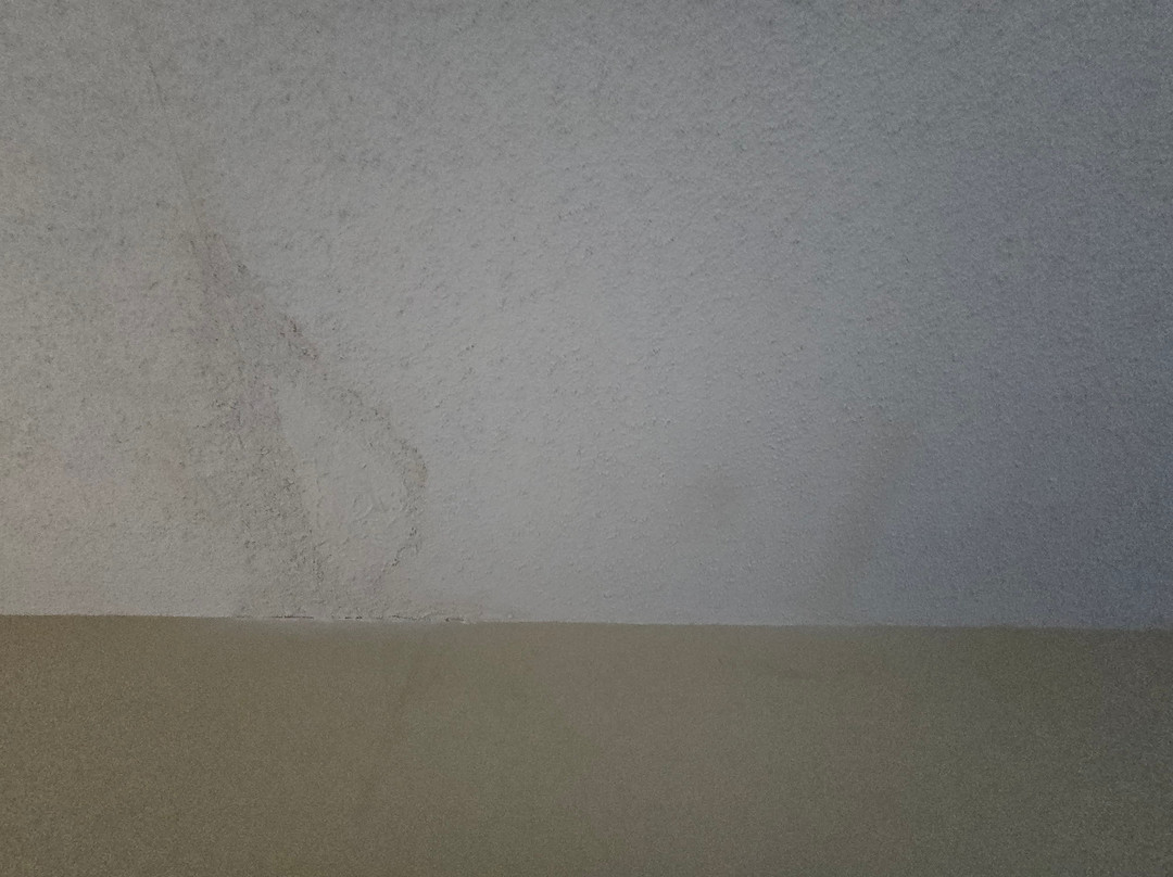 Best Western Owego Inn主图