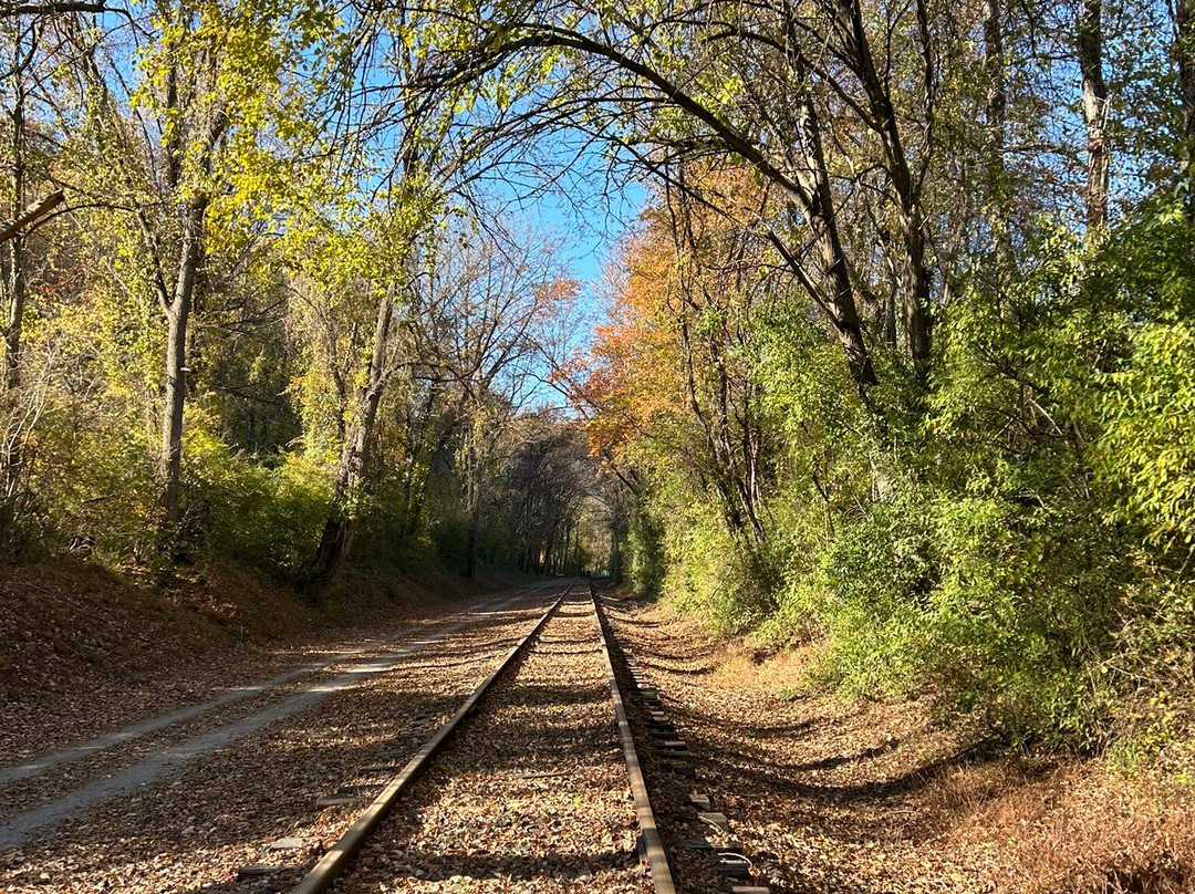 American Rail Bike Adventures景点图片