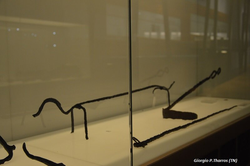 Museo Retico景点图片