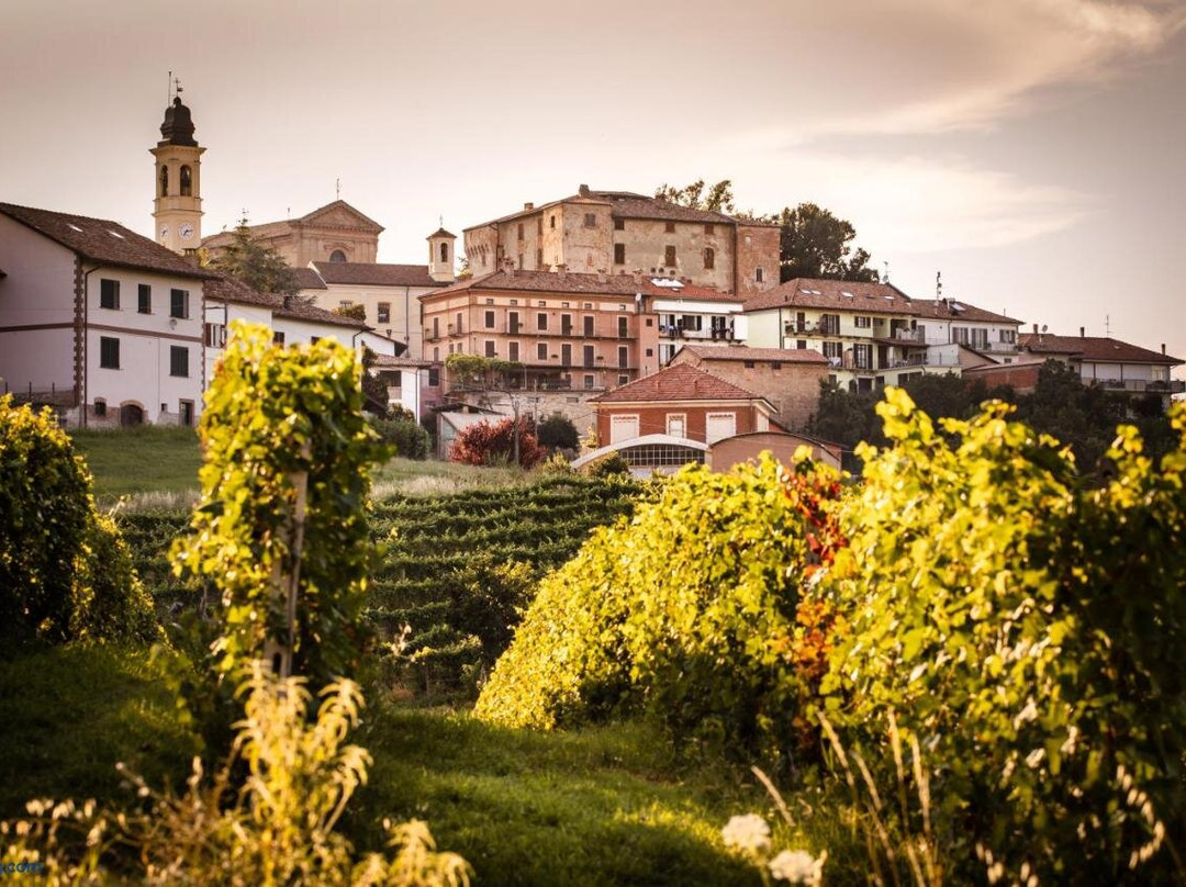 Villa Vinory Tenuta il Sogno