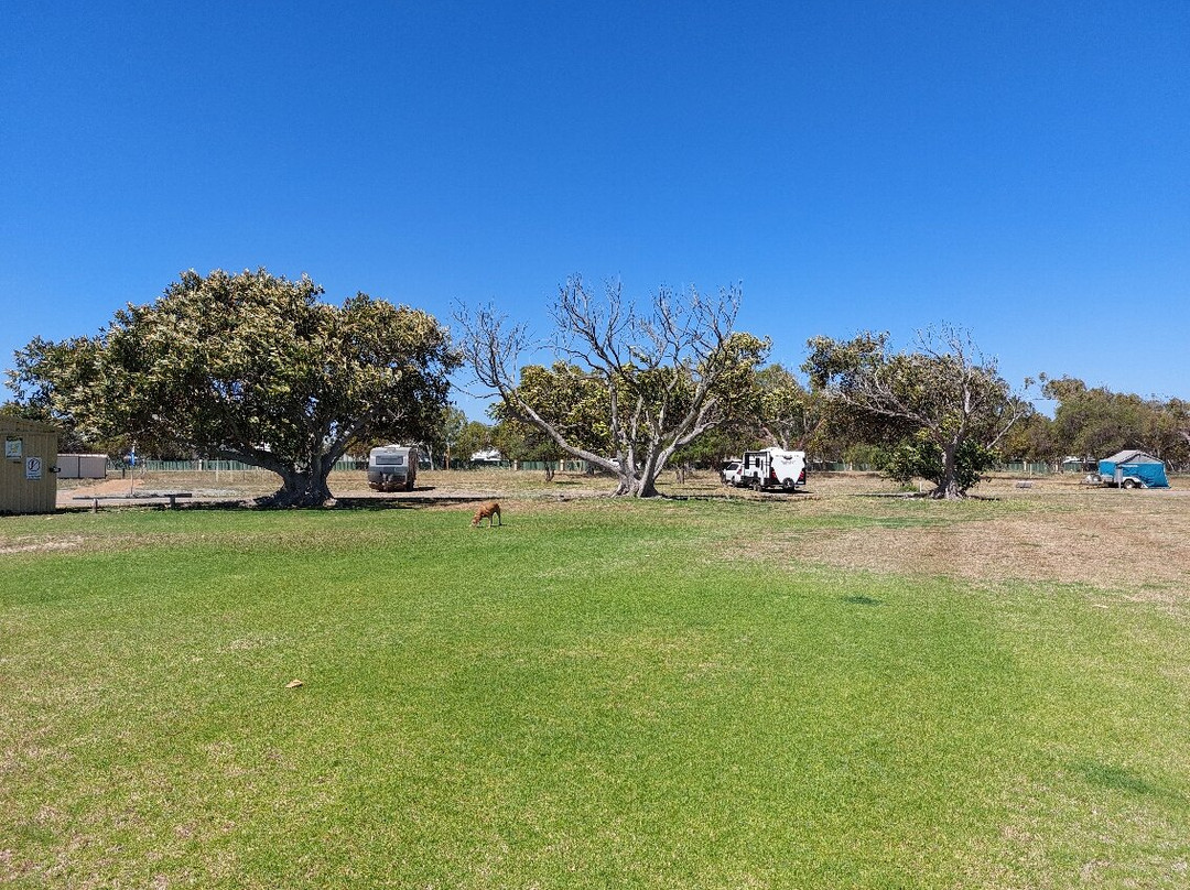 Dongara - Port Denison Visitors Centre景点图片