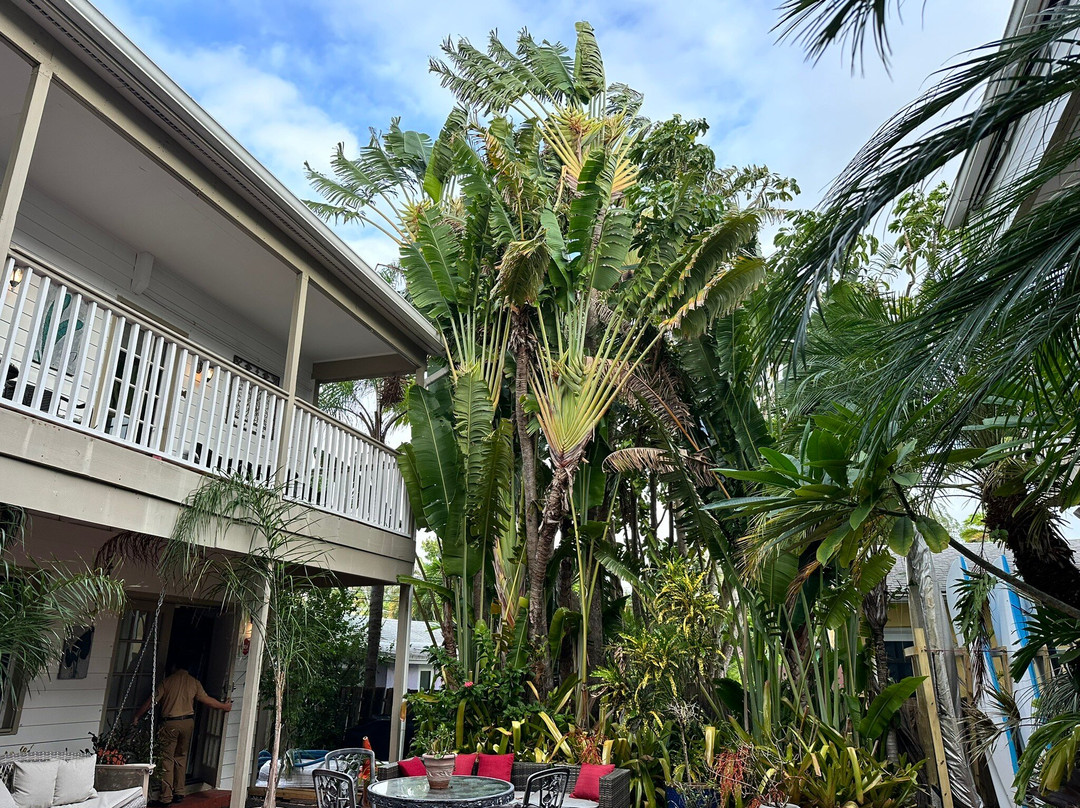 Sabal Palm House Bed & Breakfast主图