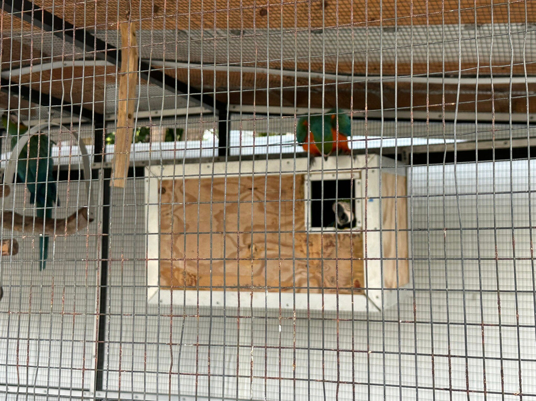 Sands of Islamorada Hotel主图