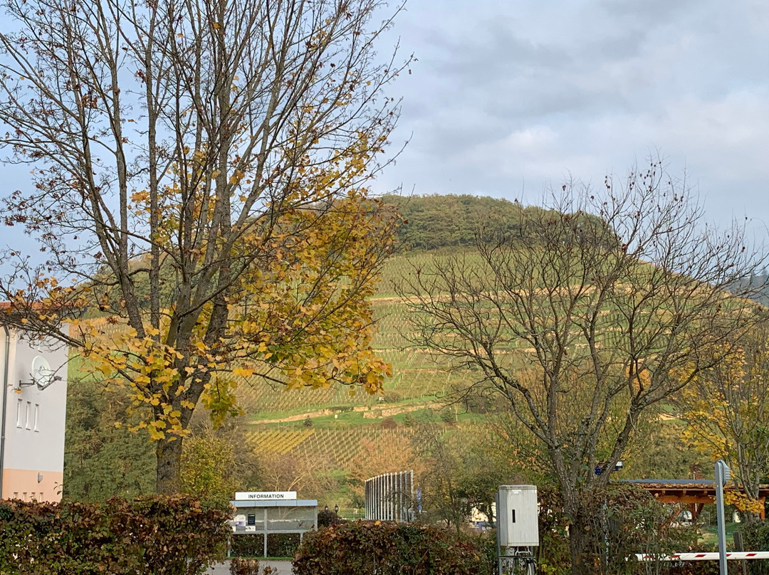 Camping Sulzbachtal