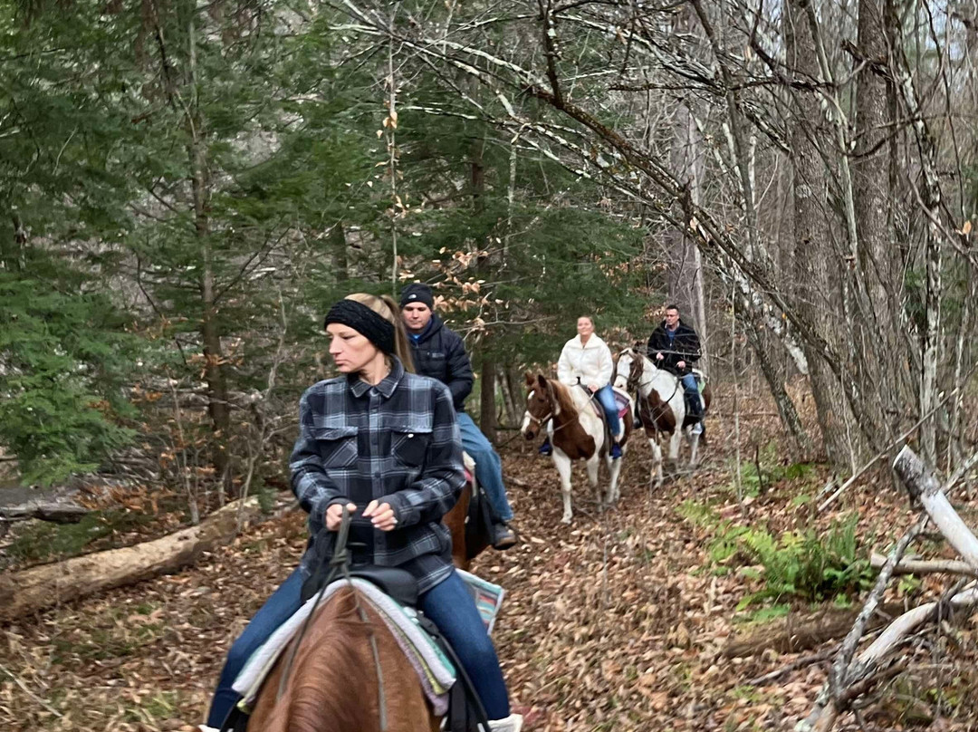 Ruggiero's Public Horseback Riding And Cabin Rentals-Lake Luzerne必去景点