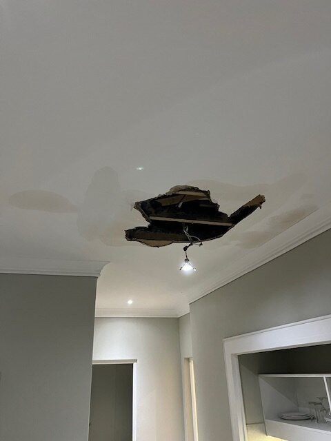 斯泰伦博斯普罗蒂亚酒店主图