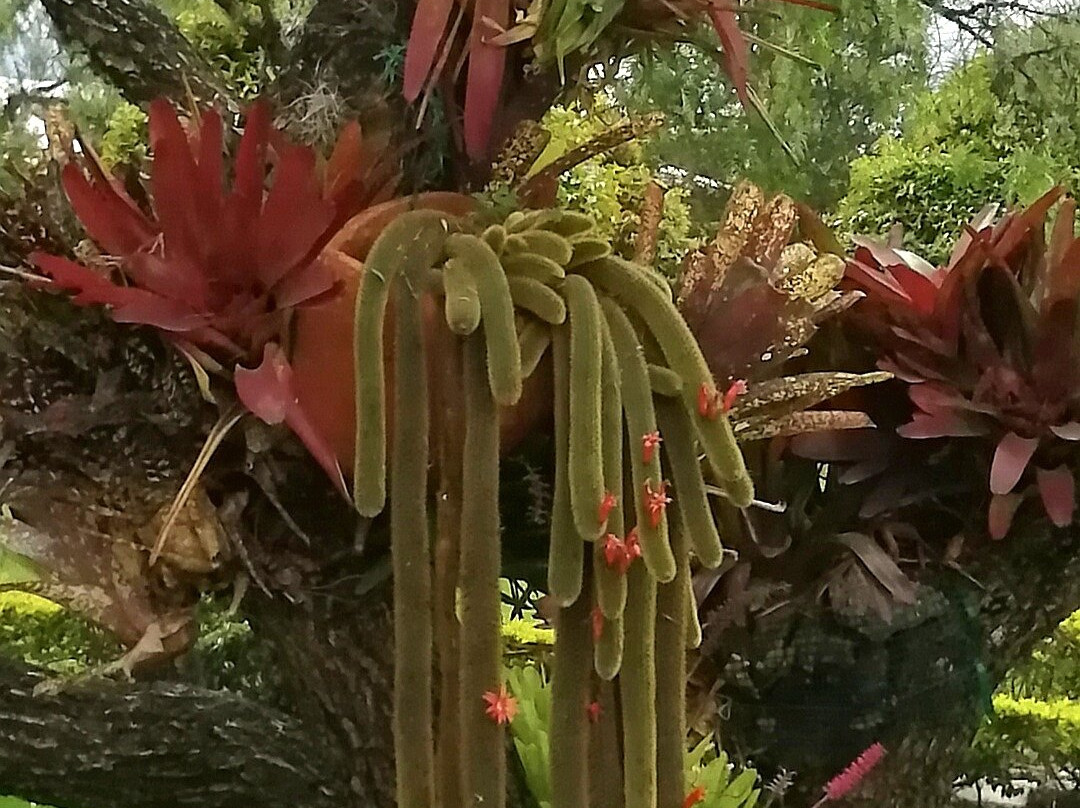 Casa De Los Fundadores主图