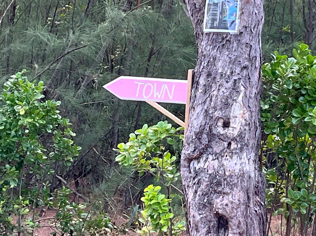 Green Turtle Club & Marina主图