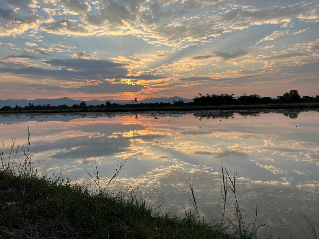 Sukhothai Bicycle Tour景点图片