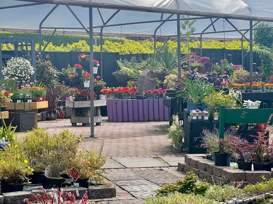 Longford Garden Centre-Longford必去景点