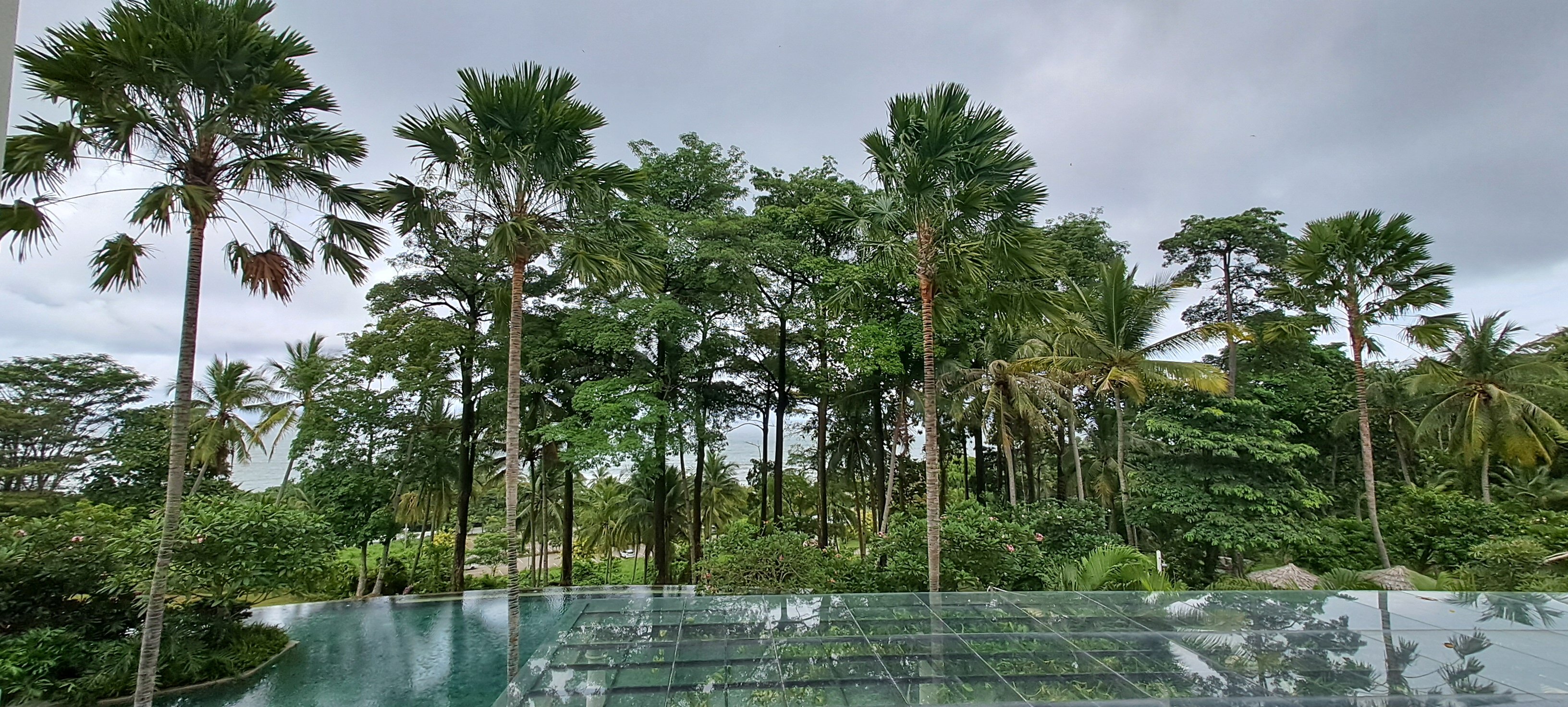 Novus Jiva Villa Resort & Spa-泳池