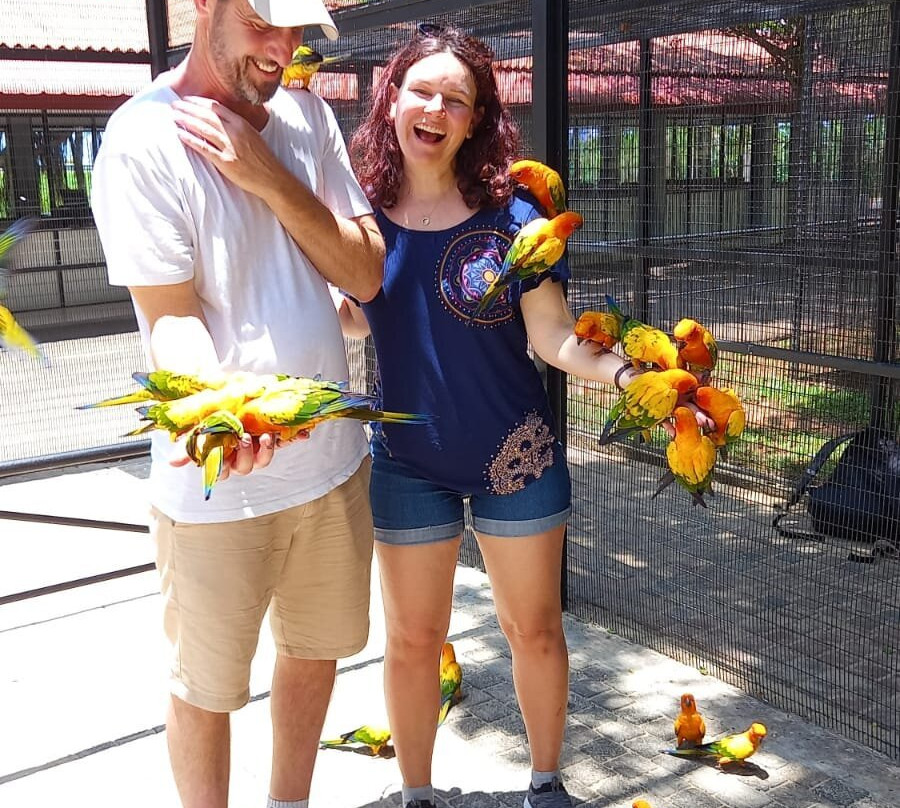 Happy Travels With Preena-Kadawata必去景点