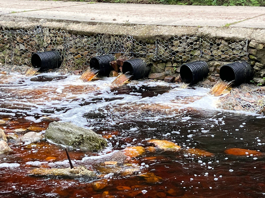 Jubilee Creek picnic site and walk-克尼斯纳必去景点