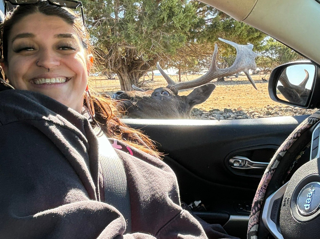 Topsey Exotic Ranch & Drive Thru Safari-Copperas Cove必去景点