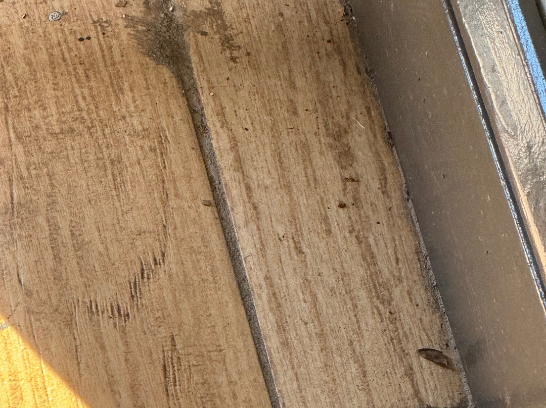 Days Inn by Wyndham Dahlonega主图