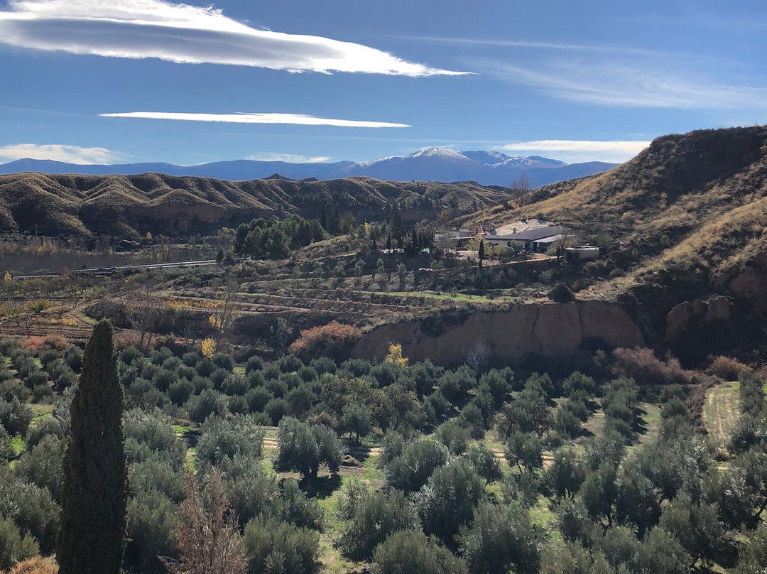 Habitat Troglodita Almagruz-Purullena必去景点