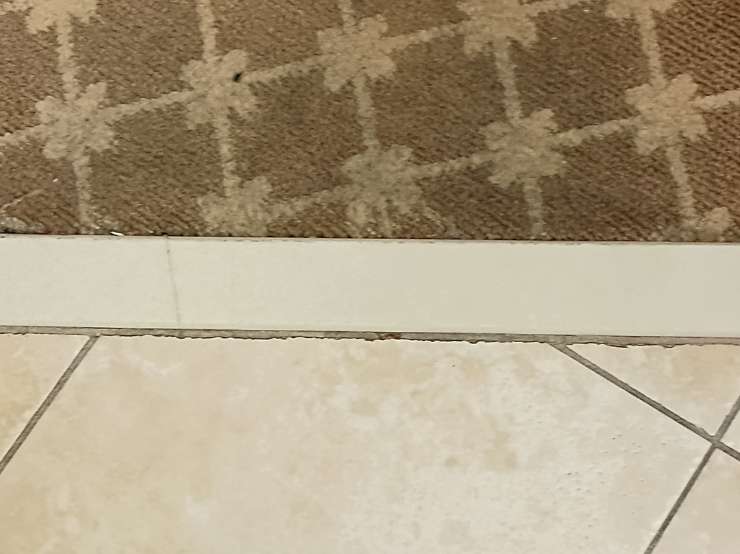 Quality Inn & Suites主图