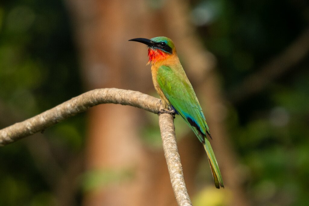 Inala Nature Tours-布鲁尼岛必去景点