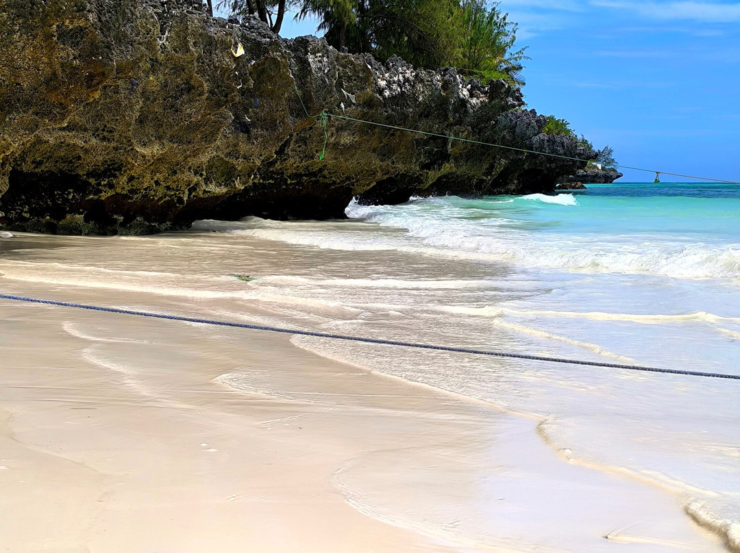 Madiba Tour Zanzibar & Safari-Matemwe必去景点