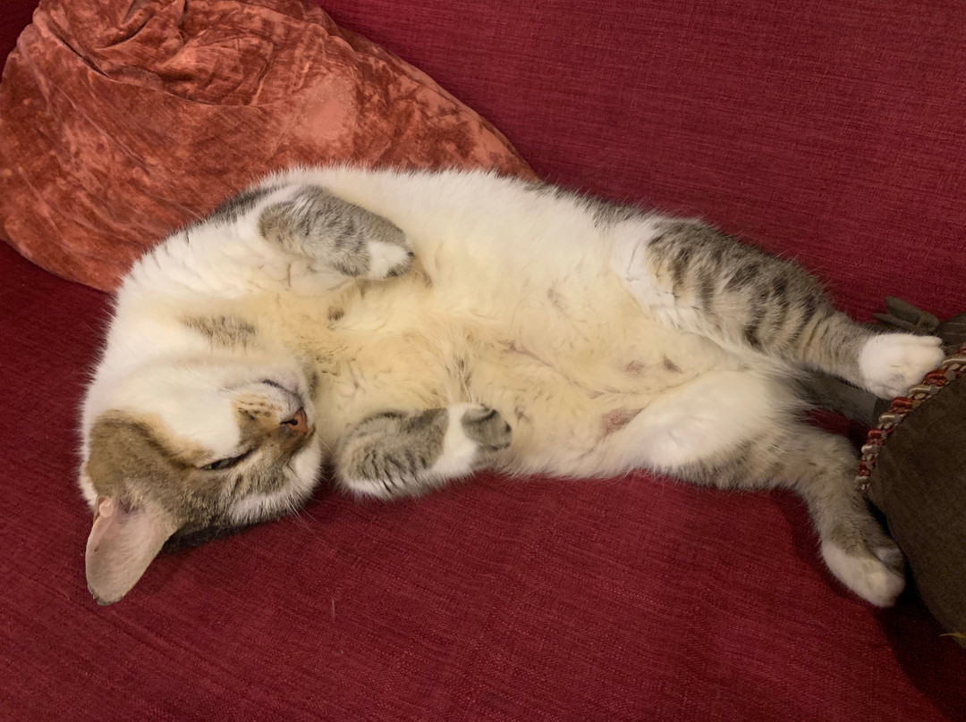 爱情乐园酒店主图