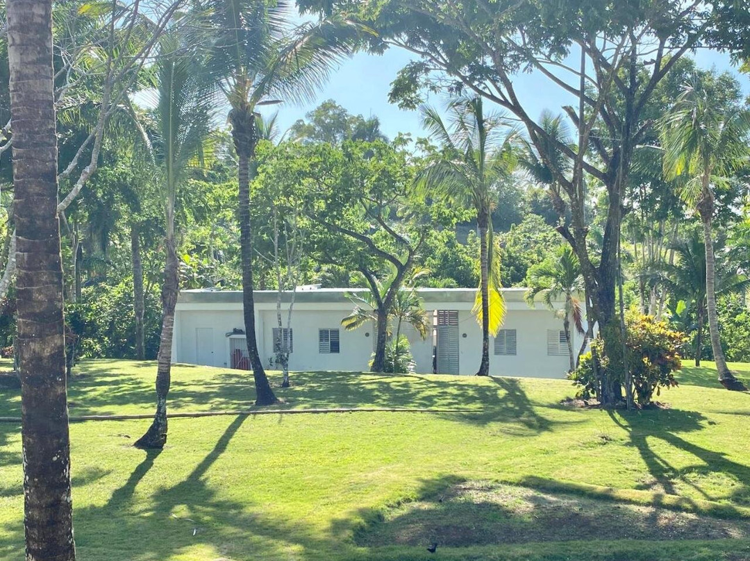 Papaya Casita - On An Organic Farm