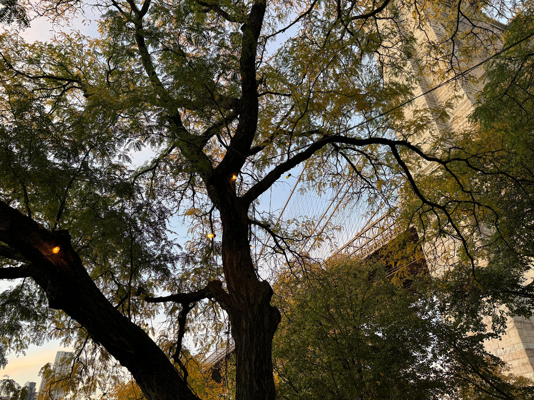 Echt New York-纽约市必去景点