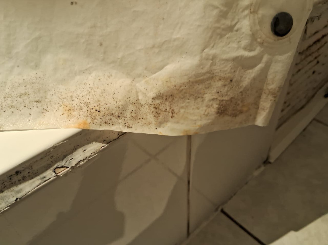 瓦尔帕莱索达芬奇酒店主图