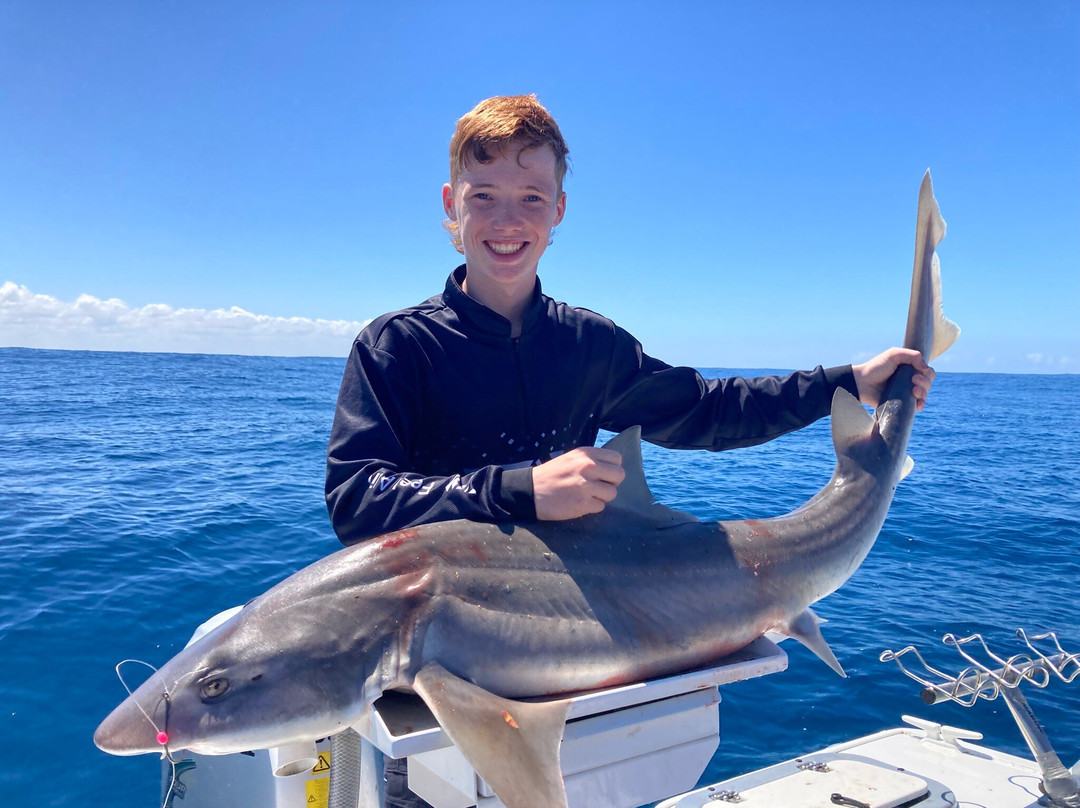 Lady Bay-瓦南布尔必去景点