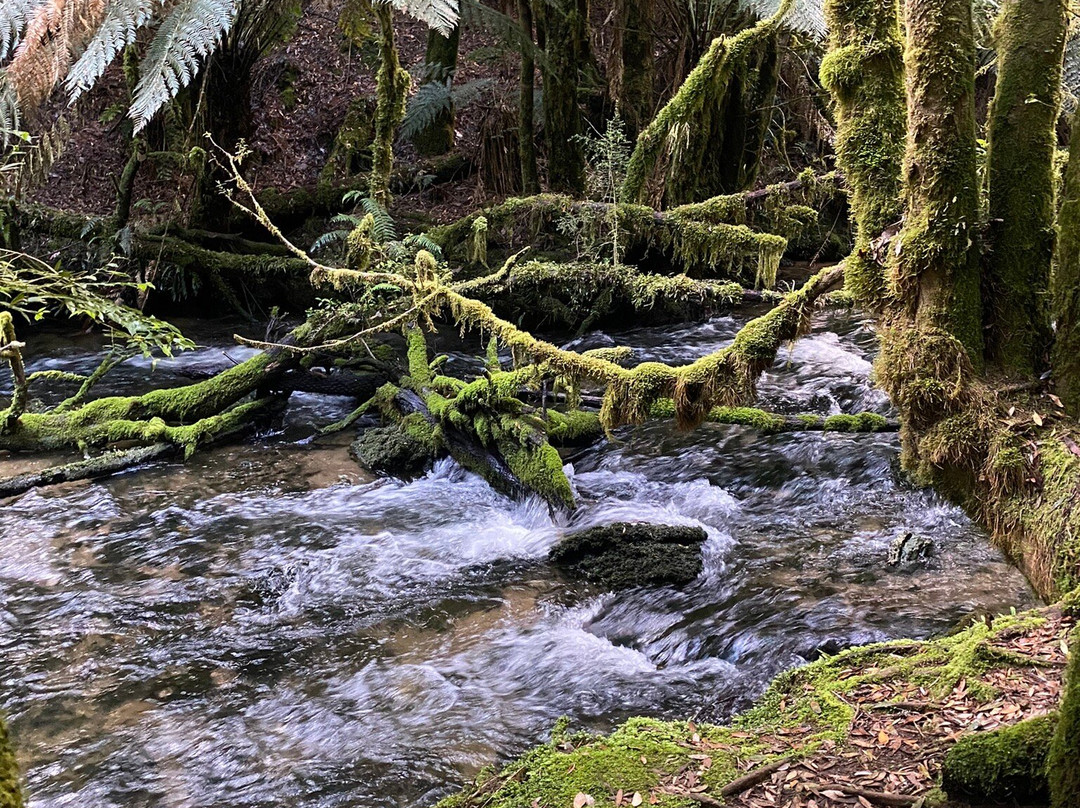 Junee Caves-Maydena必去景点