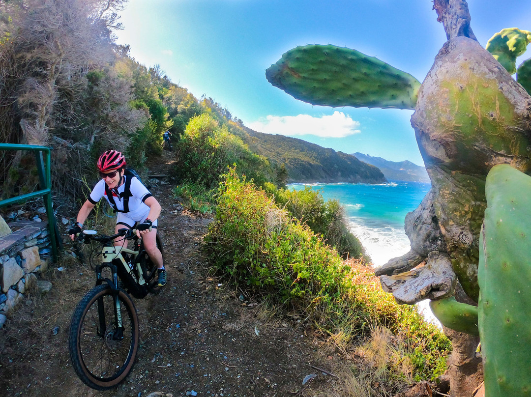 Elba Mtb Portoferraio