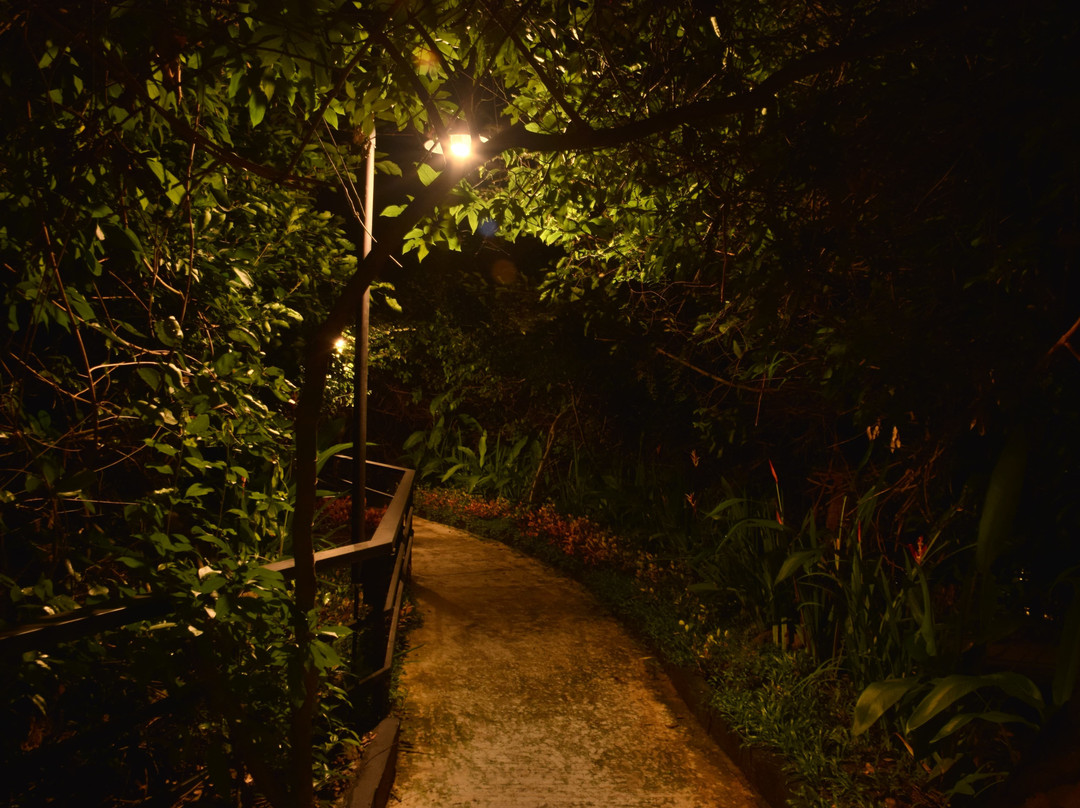 尼斯广场酒店主图