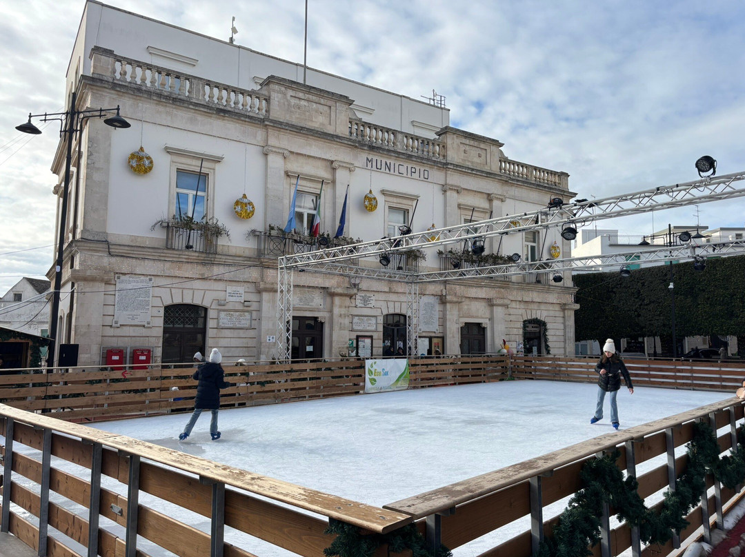 Palazzo Comunale景点图片