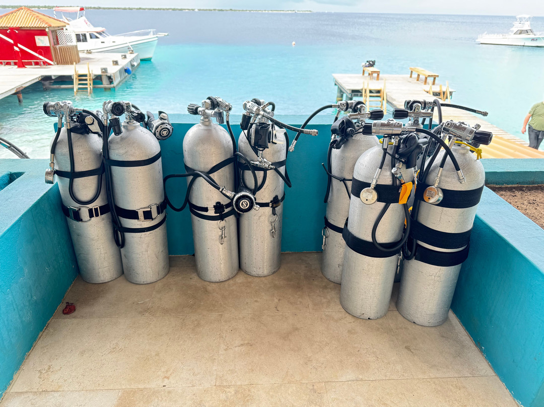 Technical Diving Services-Kralendijk必去景点