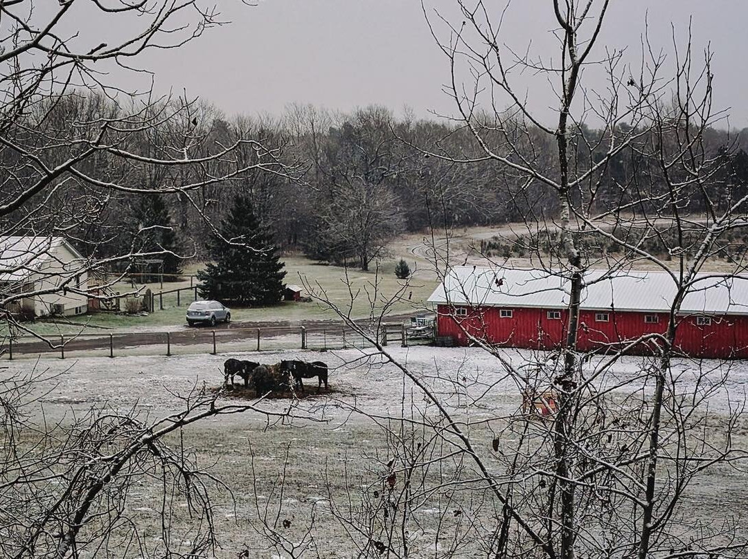 Horseback Riding Lessons-Colborne必去景点