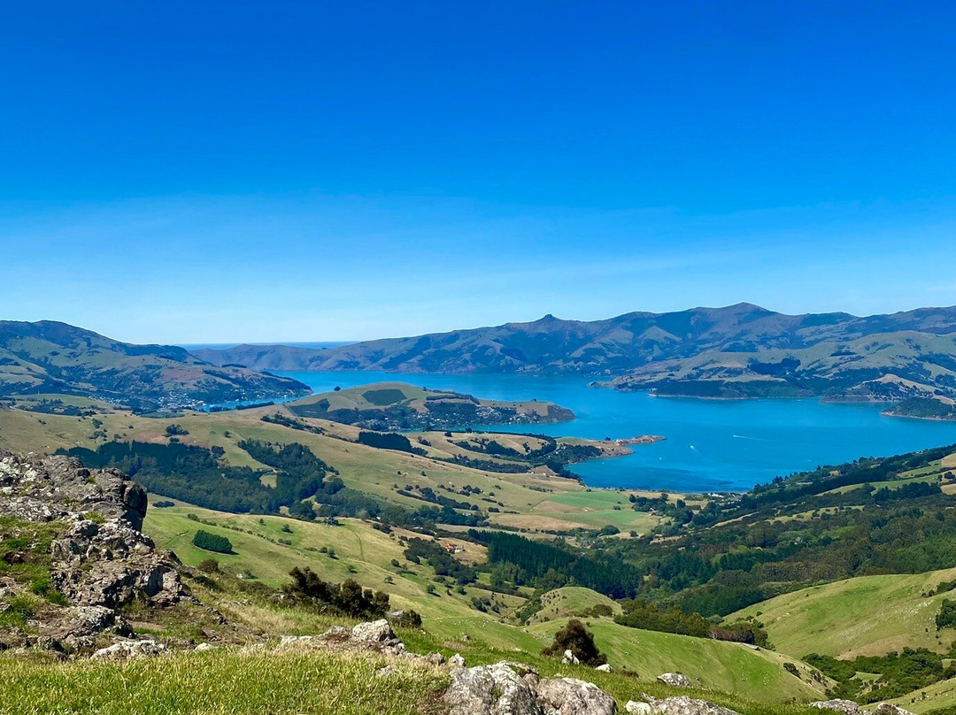 Akaroa Ebike Safaris景点图片