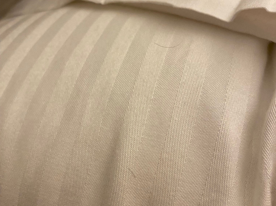 Hotel Saint Cyr主图