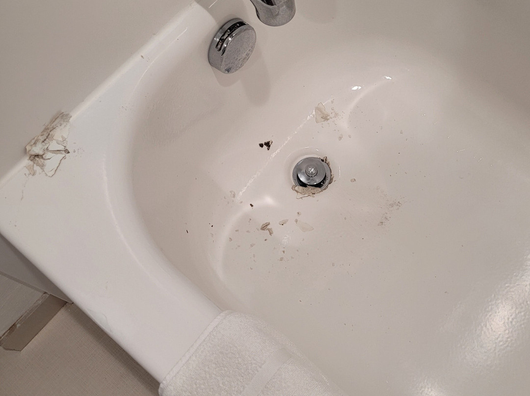 Hilton Garden Inn Jackson/Clinton主图