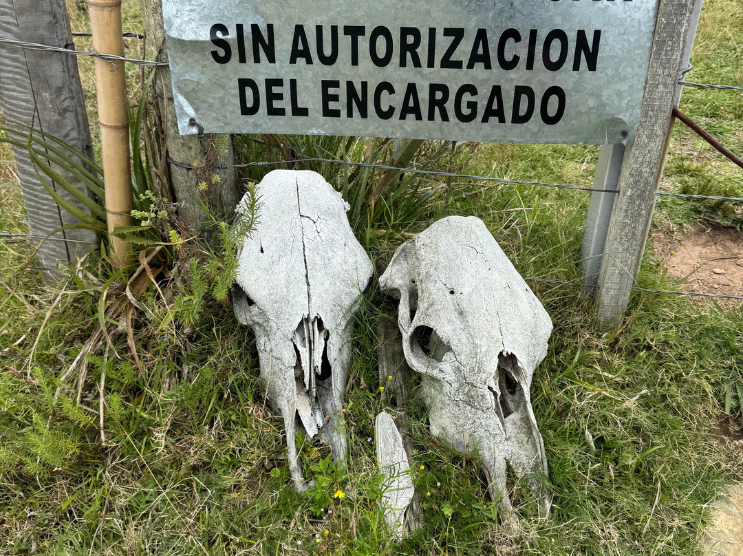 Paseo Sierra de Las Animas-Maldonado必去景点