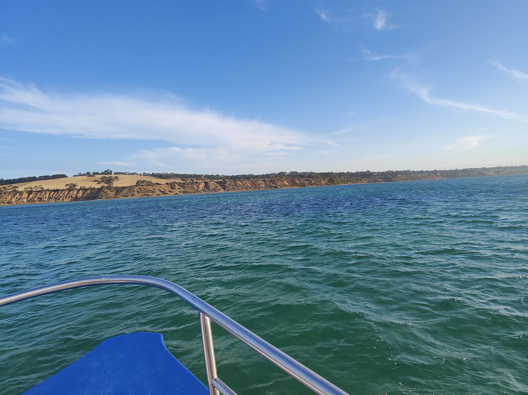 Portarlington Mussel Tours-Portarlington必去景点