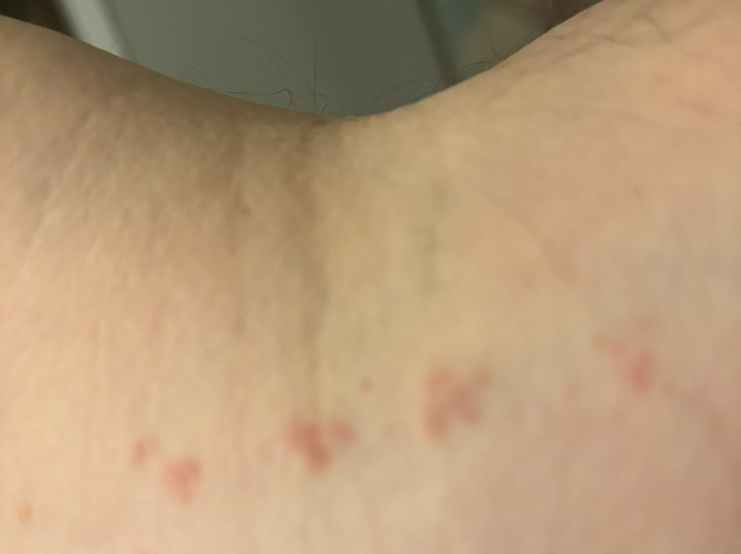 Tru by Hilton Greenville Woodruff Road主图