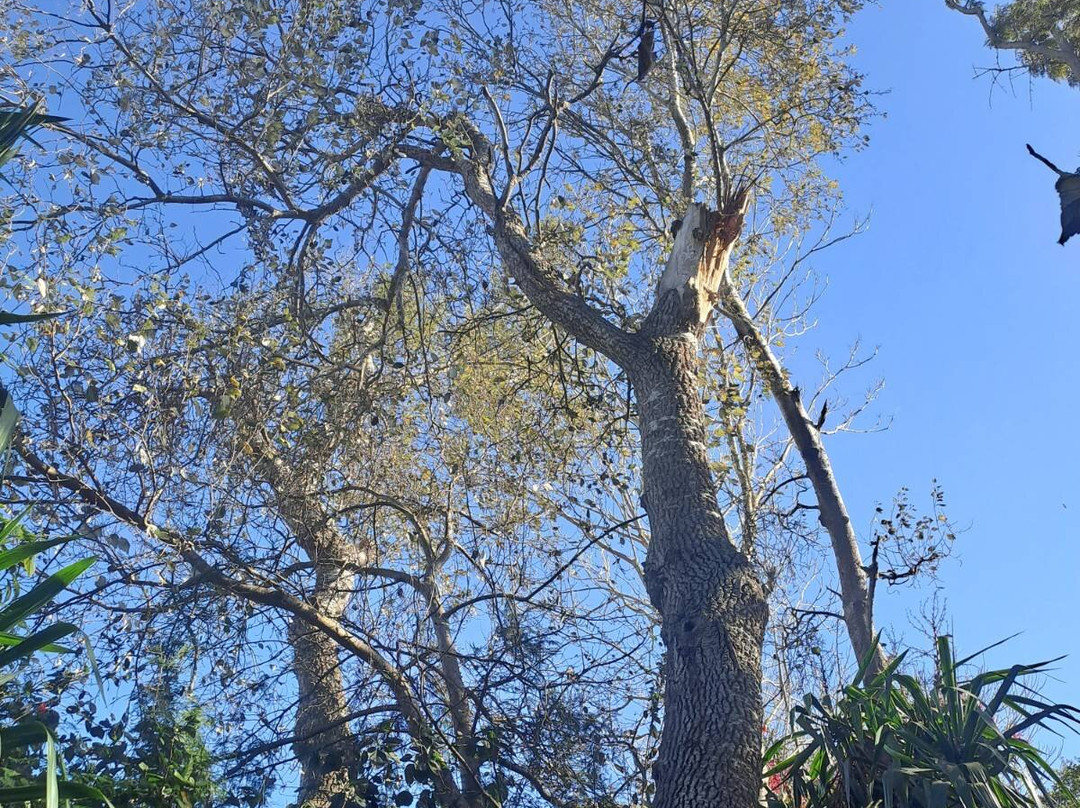 Les Jardins Exotiques De Bouknadel-拉巴特必去景点