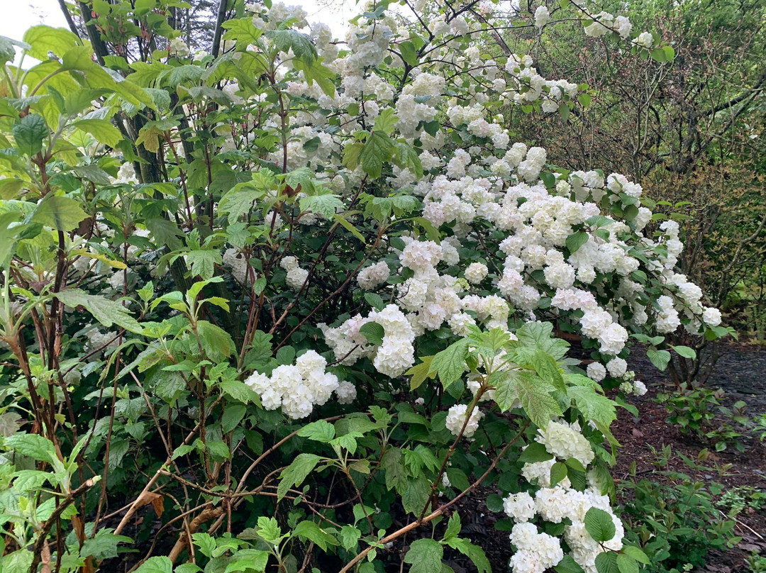 Jardins de Valeriane景点图片