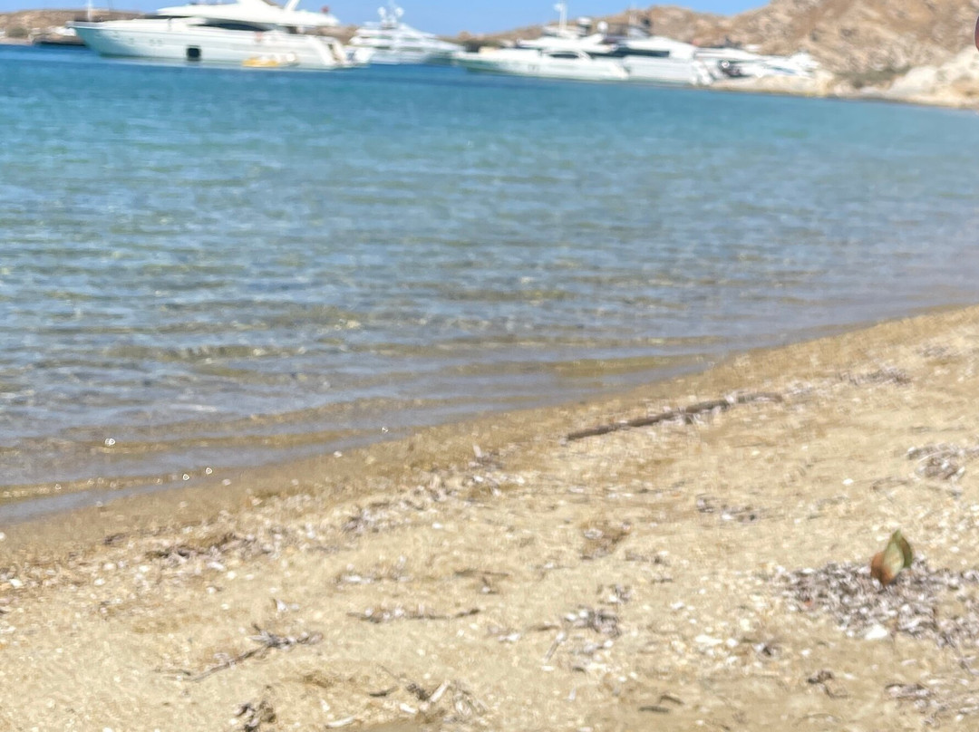 Turkou Ammos Beach